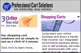 Professional Cart Payment Solutions